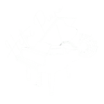 logo white on transparent